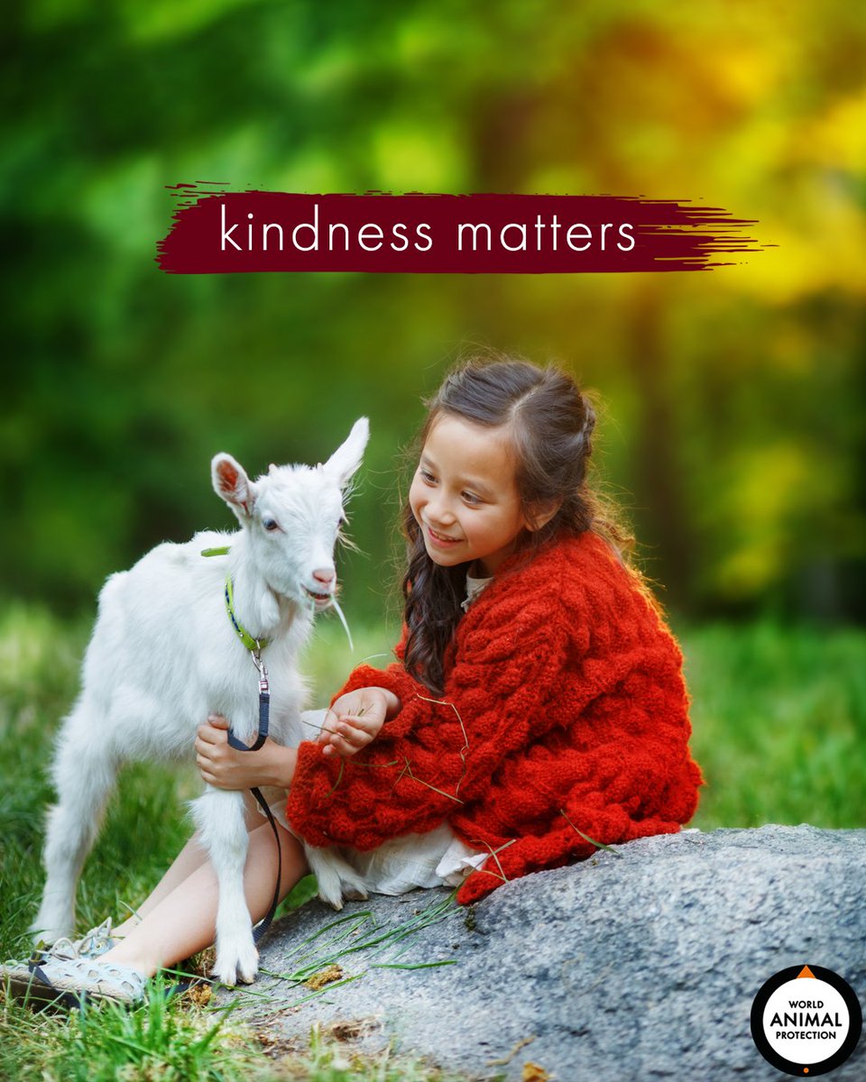 MoveTheWorldUS's tweet photo. Kindness is everything. 🌟 https://t.co/BxrEOUstuv