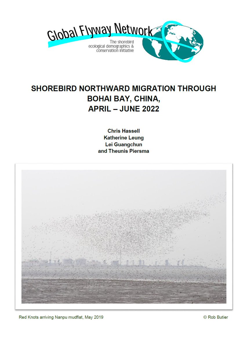 Global Flyway Network tweet media
