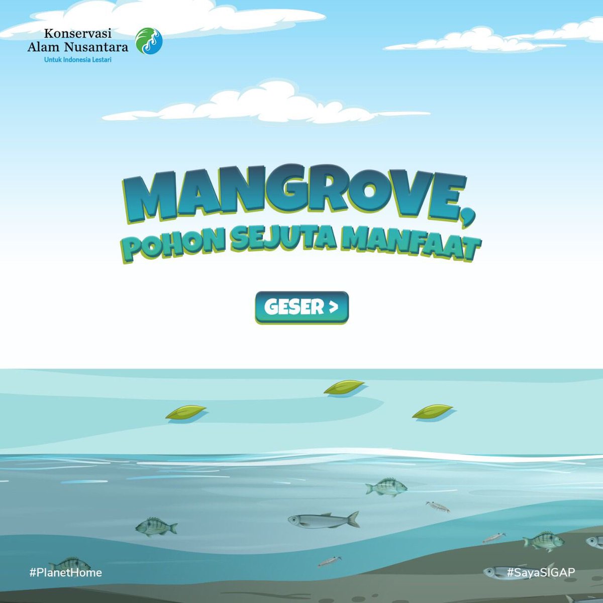 ykan_id's tweet photo. Kenapa sih kita harus melestarikan mangrove?
Hutan mangrove memiliki banyak manfaat, lho!
Dari daun hingga akar, semua memiliki fungsinya masing-masing dan dapat kita manfaatkan.
Adakah hutan mangrove di sekitarmu? Share di bawah, ya!
#MangroveUntukIndonesia
#PlanetHome https://t.co/2sl0ov36HZ