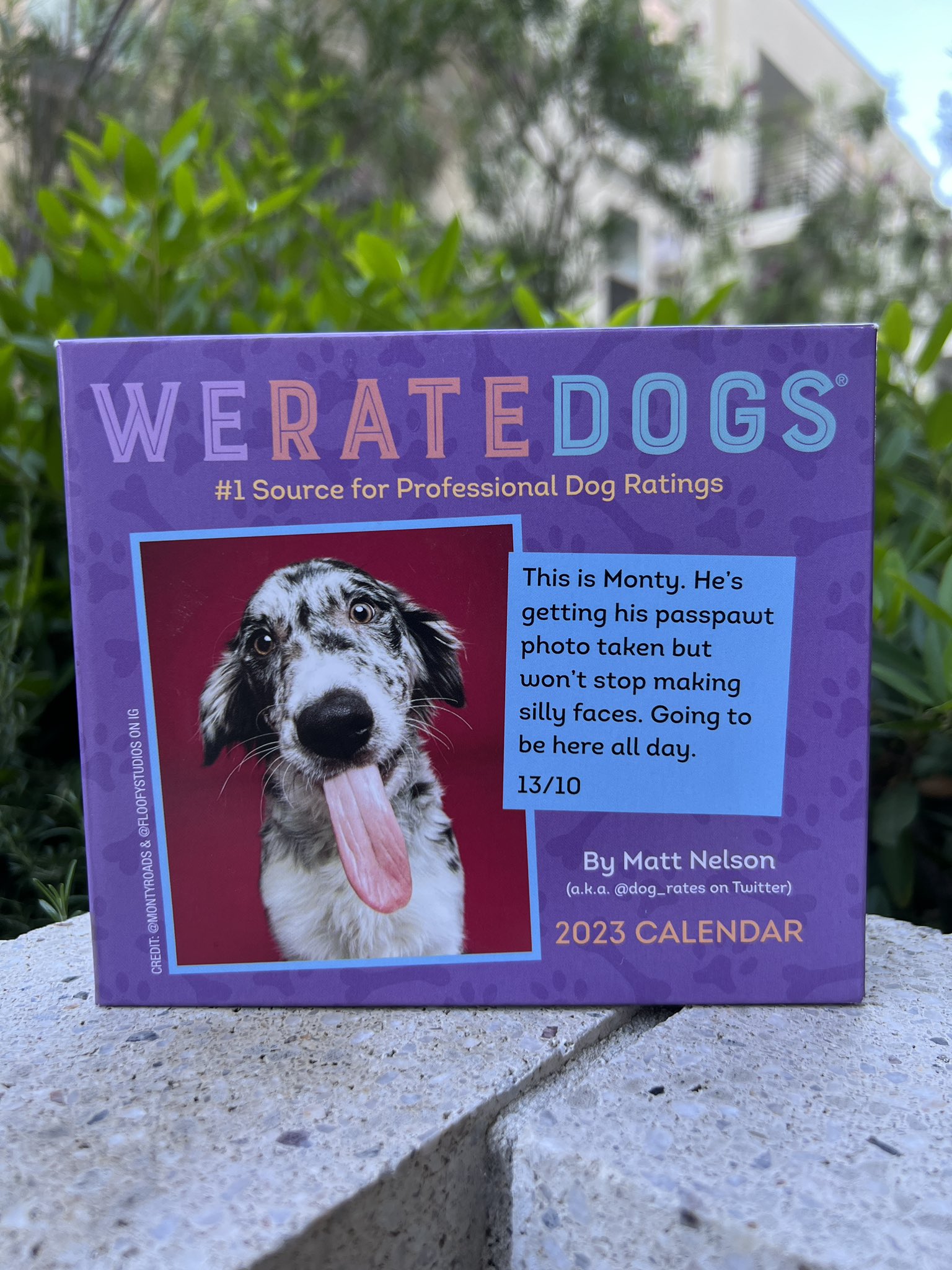 WeRateDogs On Twitter Our 2023 Calendar Is Here A New Dog Every Single Day To Help You new-we-rate-dogs-calendar-2022-photos-amhyai-plant-calendar-2022
