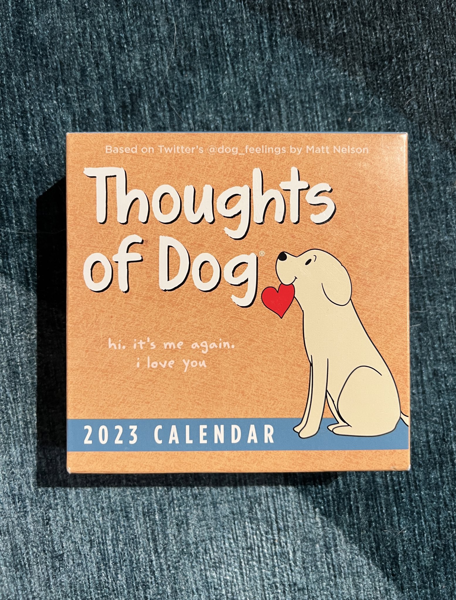 thoughts-of-dog-2023-day-to-day-calendar-box-calendar-with-the-latest-design-concept-get-your