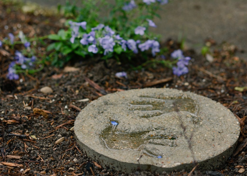 GT 🇽 tweet media