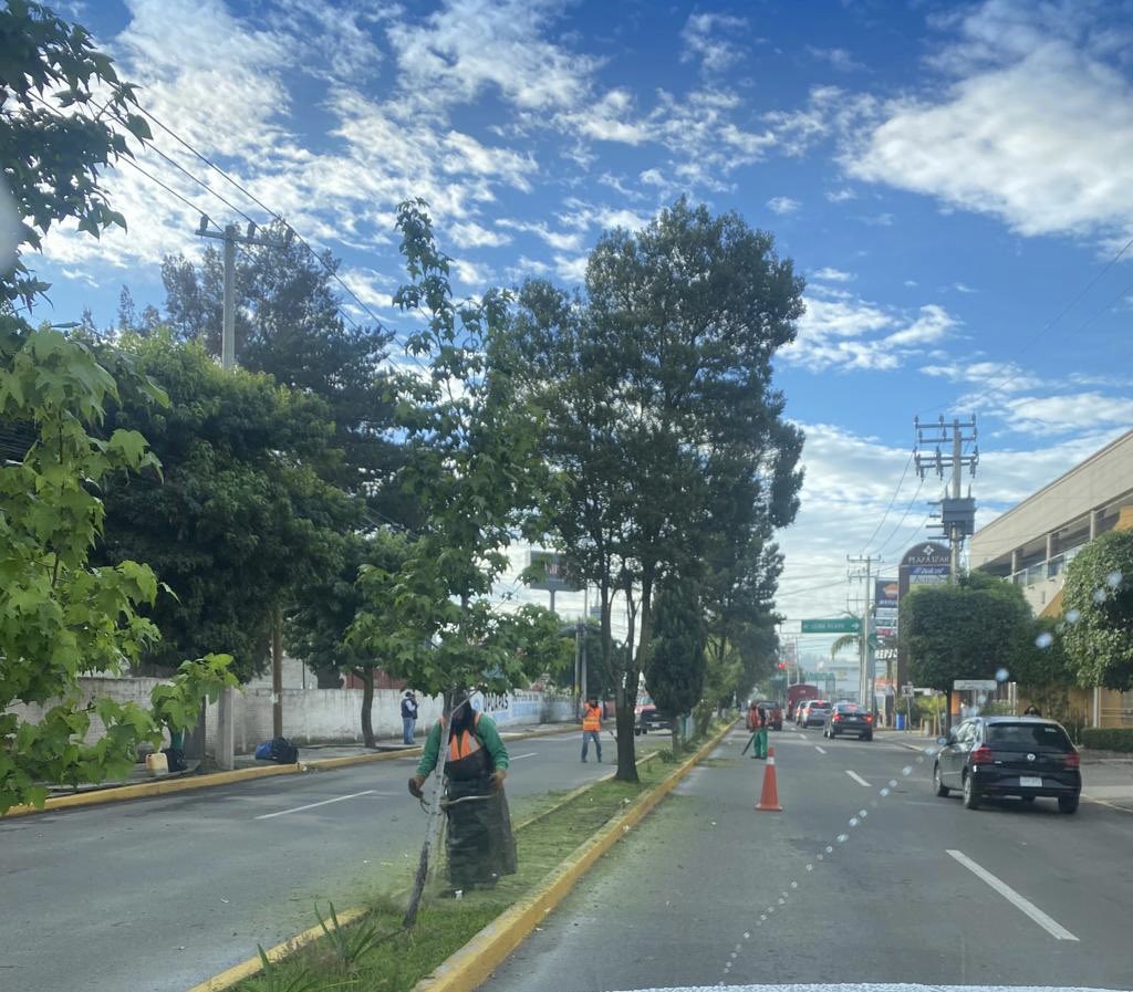 MetepecGobierno's tweet photo. Los compañeros de @met_ServPublico siguen poniendo chulo nuestro #Metepec.
Ahora le tocó a la calle Benito Juárez.
#CiudadanosGobernando
#Podando https://t.co/FoebVlt0jb