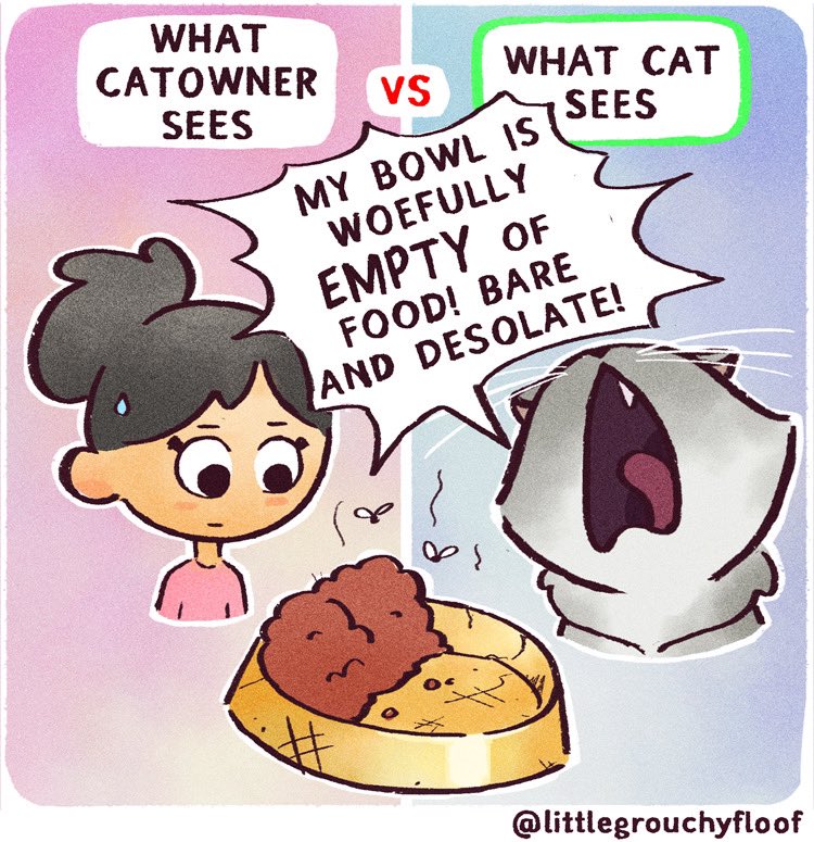 littlegrouchyfloof tweet media