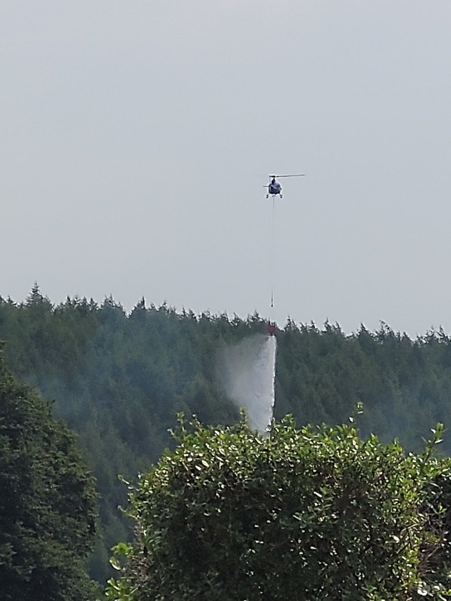 Not a great sight yesterday. View from the Root and Branch office. Yikes. 😬 Keep safe everyone. 🙏 #Forestfire #woodlandfire #StaySafe #hottestdayoftheyear