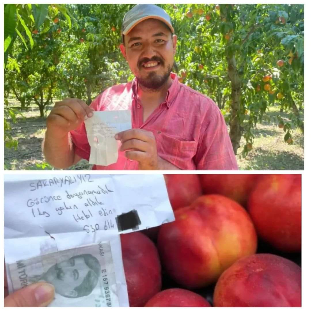 Alkan_Tarim's tweet photo. Bursa İznik'de bir meyve tarlasından şeftali alan kişi, 'Dayanamadık 1 kiloya yakın aldık helal edin' diyerek 20 lira bırakmış.
Tarla sahibide bırakılan numaraya; 'Paraya hiç gerek yoktu, helali hoş olsun' diye mesaj atmış.

Bize böyle karşılıklı hoş düşünen güzel insanlar lazım. https://t.co/l2CHQKvmKK