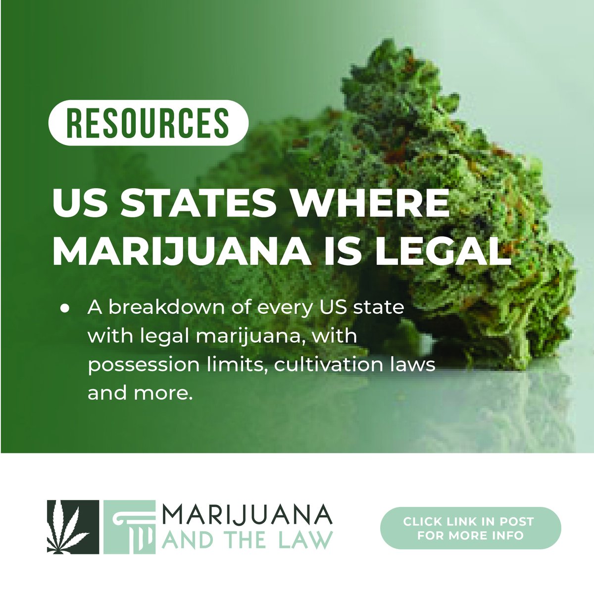 Curious about the legalization status or latest policies in your state? Check out what's been happening here⤵️

bit.ly/39WVTTl