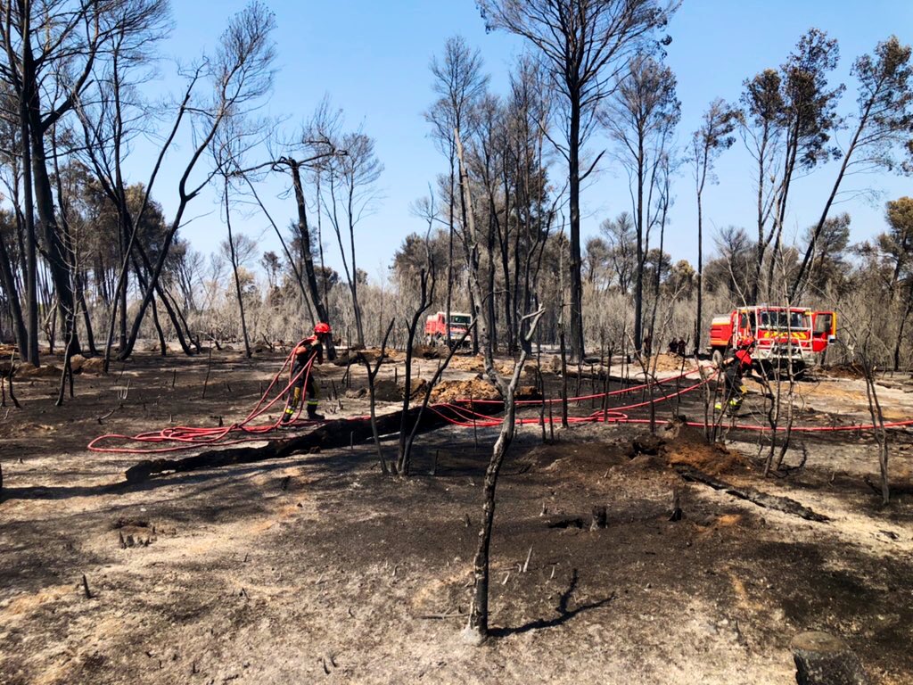 Pompiers_13's tweet photo. 🔴 [#Opérations] 

A la #Montagnette, les opérations s’articulent autour d’une #surveillance minutieuse des sols, et des végétaux, afin de traiter chaque point chaud résiduel ou fumerolle.
➡️ Actions à poursuivre cette nuit.

Sur place : 
👨🏼‍🚒 ≈ 200 sapeurs-pompiers
🚒 40 engins https://t.co/Dc9DnfEOFk