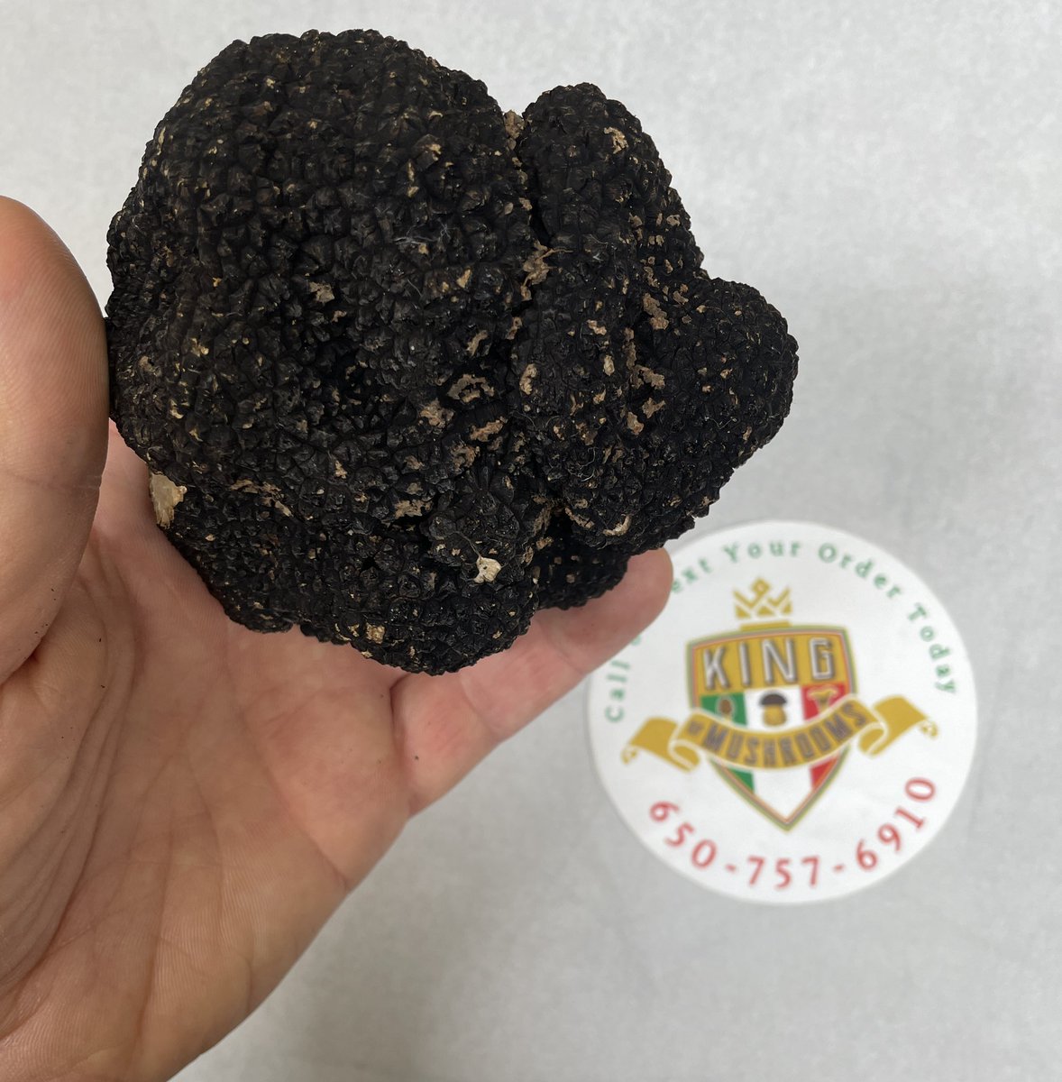 Peak summer truffle season is here!