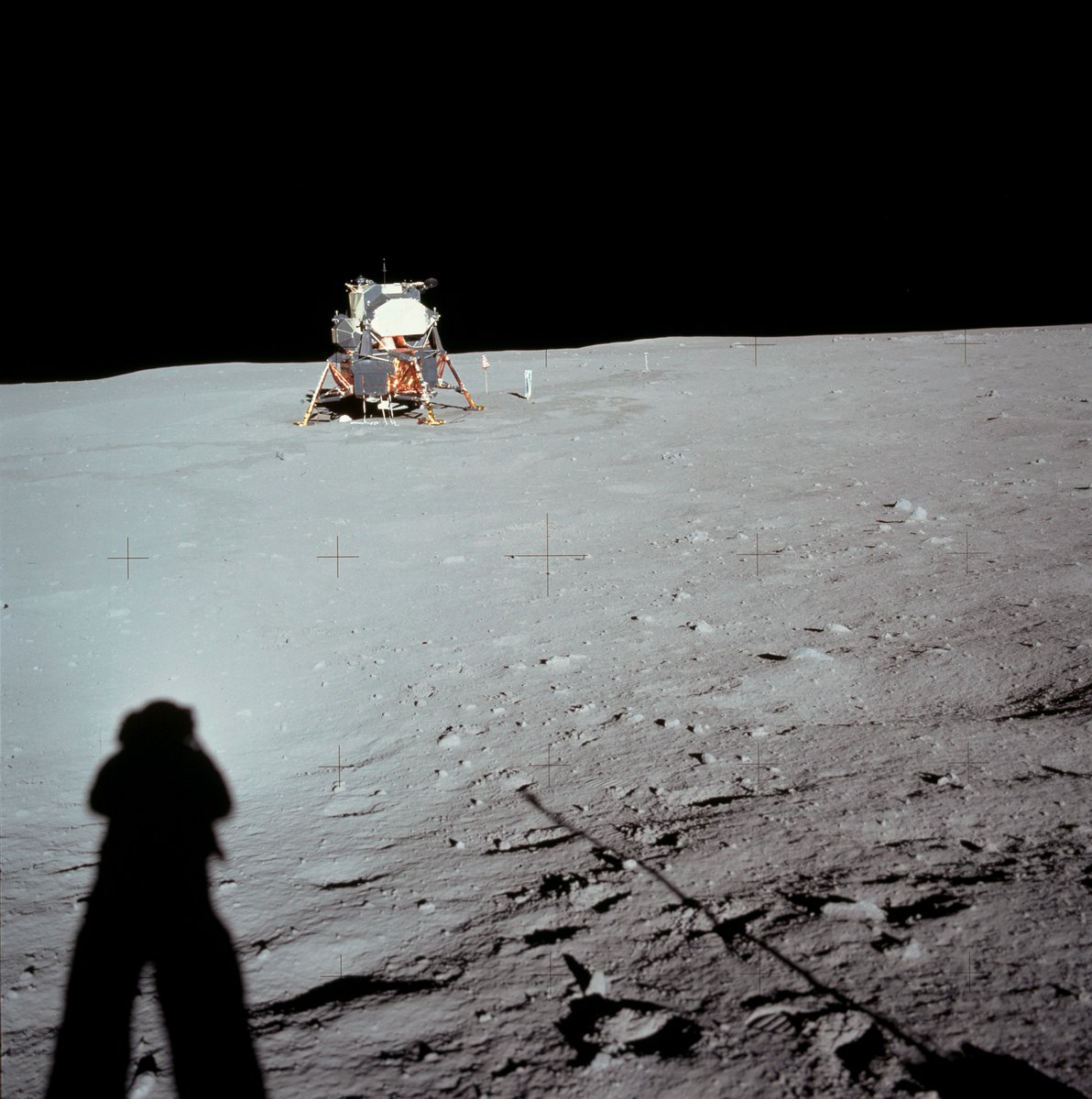 NASA (@nasa) on Twitter photo "The Eagle has landed."
On July 20, 1969ā53 years ago todayā<a href="/NASA_Astronauts/">ARCHIVED NASA Astronauts</a> Neil Armstrong and Edwin "Buzz" Aldrin touched down in the Sea of Tranquility, becoming the first humans ever to land on the Moon: nasa.gov/apollo11 "The Eagle has landed."
On July 20, 1969ā53 years ago todayā<a href="/NASA_Astronauts/">ARCHIVED NASA Astronauts</a> Neil Armstrong and Edwin "Buzz" Aldrin touched down in the Sea of Tranquility, becoming the first humans ever to land on the Moon: nasa.gov/apollo11