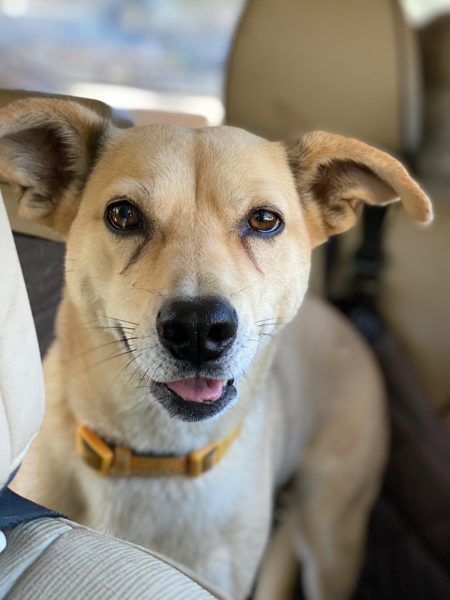 Nicole Stanton tweet media