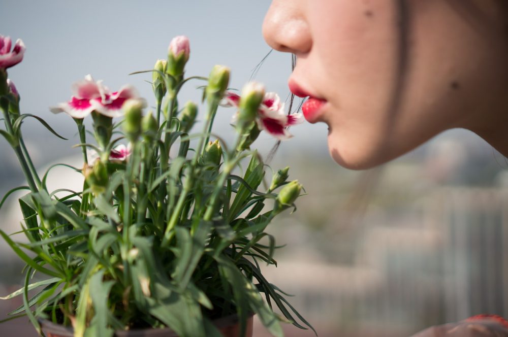 FitterEarth's tweet photo. Floral Scent You deserve even more to enjoy the fragrance when you plant them and care for them. Flowers go a long way. The fragrance goes farther.

Look for unique flower pots at https://t.co/a8NcLKjZ7S

#fitterearth #flowerpots #flowerfragrance #perfumes #flowerscent https://t.co/ADxyYXQxBk