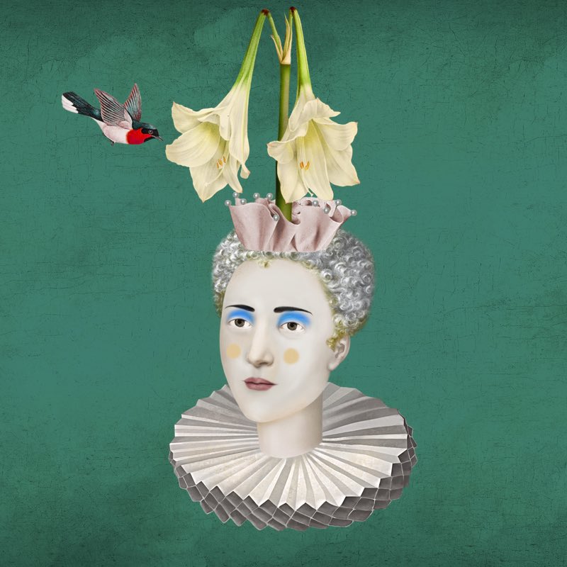 ickleelk tweet media