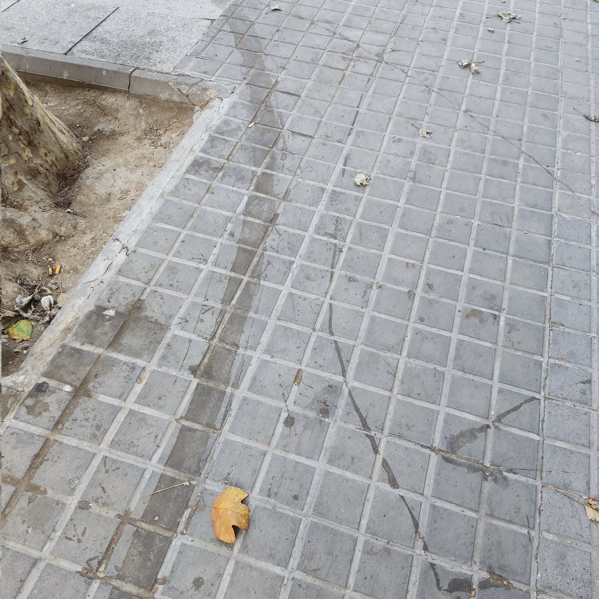 Morenacatalana's tweet photo. Falta agua y jabón en las calles de Barcelona vamos a coger algo de la poca limpieza.
#germenes
#bacterias
#virus
#enfermedadesrespitarorias por el ambiente de las calles.
@LluisRovir @52municipios @victordiscovery @jm_clavero https://t.co/qb8xTELCLz
