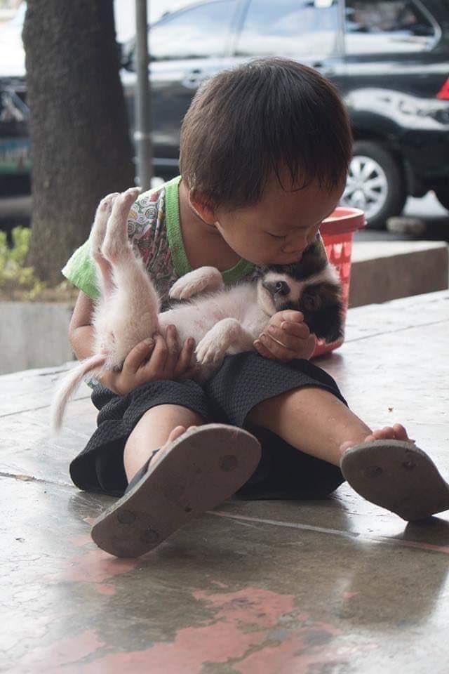 OneGoodDeed2's tweet photo. We all need a little love today. Thanks @Happydog___ https://t.co/RqyBtwApve