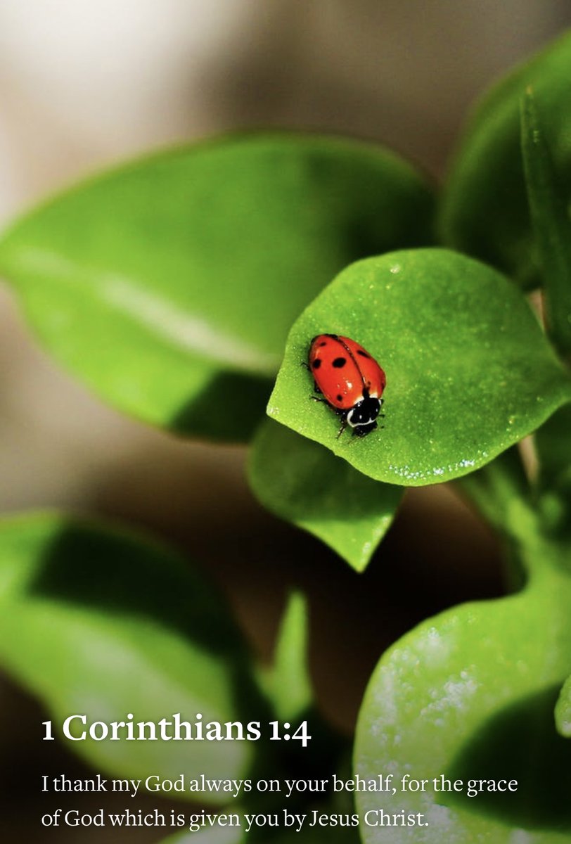 With everything give thanks! HAVE A WONDERFUL WEDNESDAY!