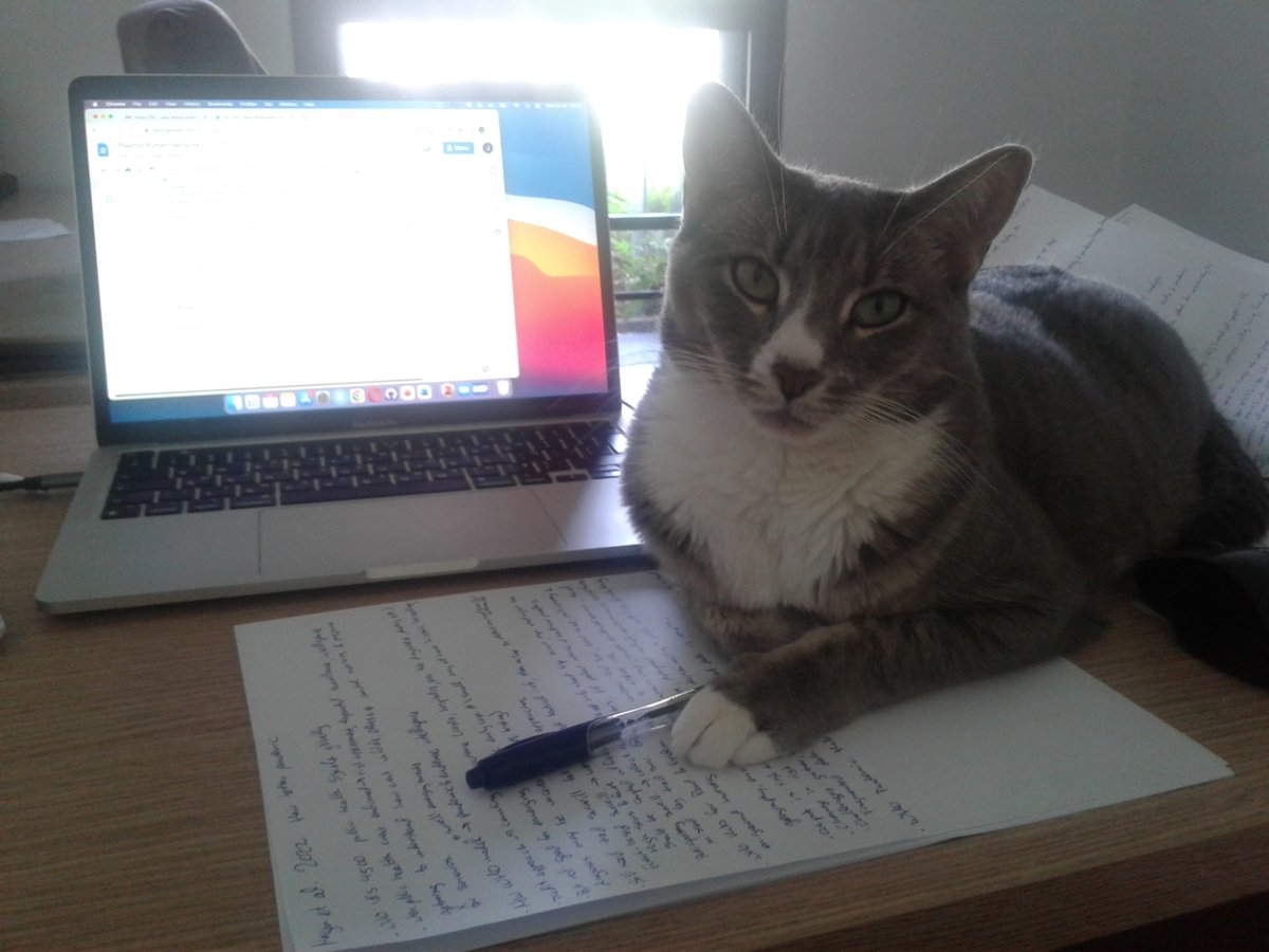 Xippie has volunteered to take notes for me today

#AcademicsWithCats #CatsOfTwitter #phdcat #phdcats #WorkingCats #AcademicChatter #postdocchat #postdoclife