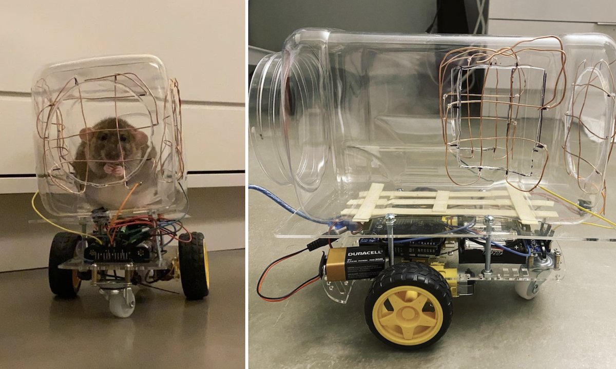 make2explore's tweet image. How to Build a Car🚗With Touch Sensitive Steering for Your 🐀Rat. Check out this 10 Step #Instructable👍👏🤩

#arduino #DIY #Electronics #makers #Robotics 

Know More - bit.ly/3PFGm9J