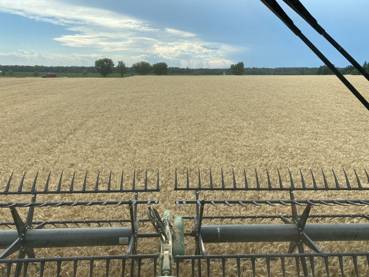 Rick Kootstra tweet media