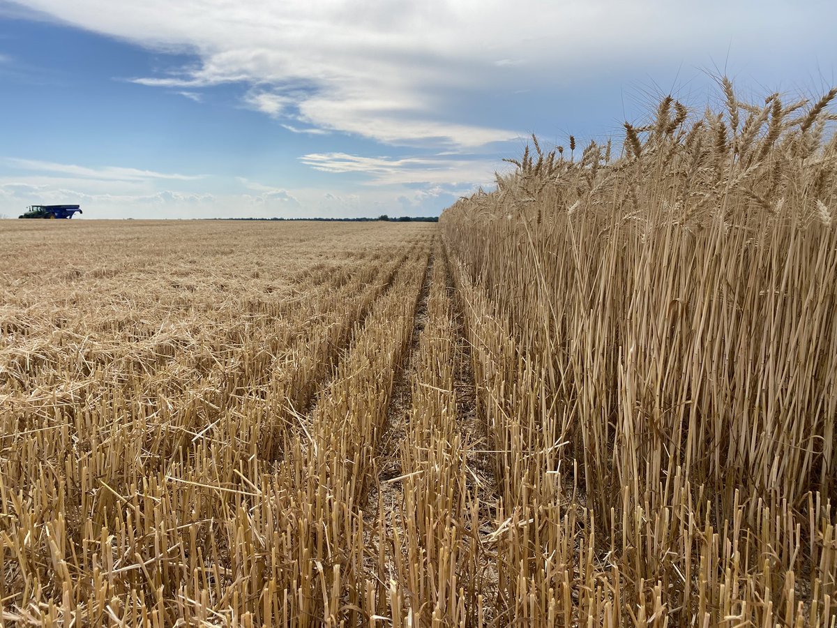 Rick Kootstra tweet media