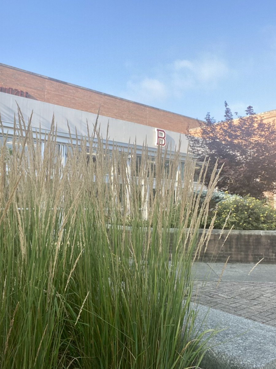 Raquel Richardson tweet media