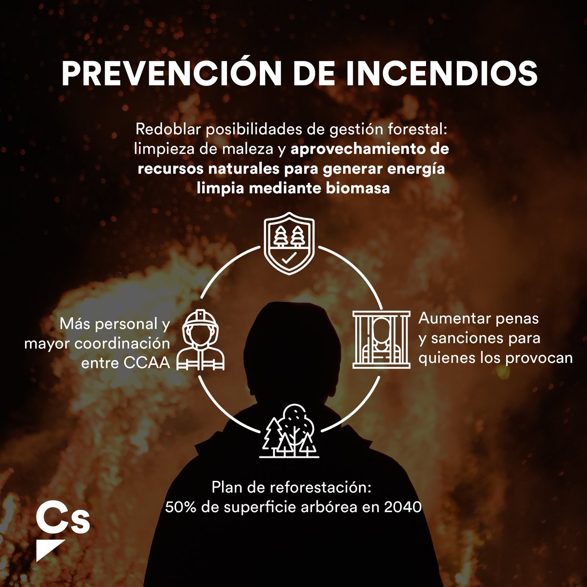 CiudadanosCs's tweet photo. Durante décadas el bipartidismo ha descuidado nuestro patrimonio natural.

¡Tenemos que hacer frente ya a los terribles daños que están causando los incendios en nuestro país!

Instamos al Gobierno a tomar estas medidas👇 https://t.co/P0Uwa0hX7E