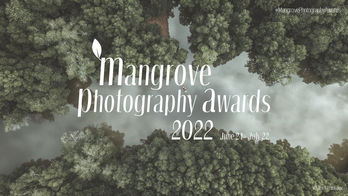 📢 Call for photo entries!📸 

🏞️ Submit your best mangrove photos to the #MangrovePhotographyAwards and help raise awareness about the importance of mangroves!

Learn more and submit by 22 July!
➡️ bit.ly/3yEuoGH

@MangroveProject @GlobalLF @CIFOR @frcamillerivera