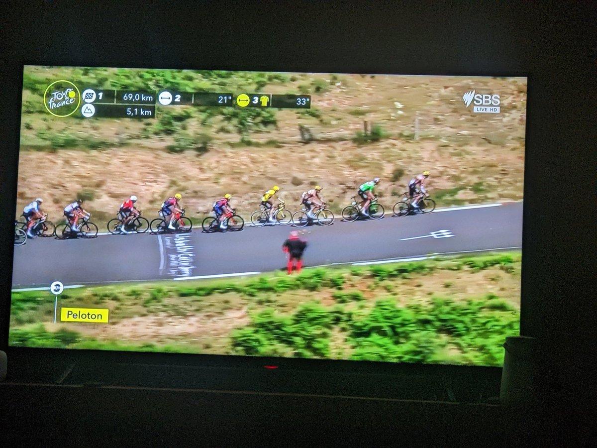 rogerfitz's tweet photo. Didi! #couchpeloton https://t.co/lTx2N9ZJmv