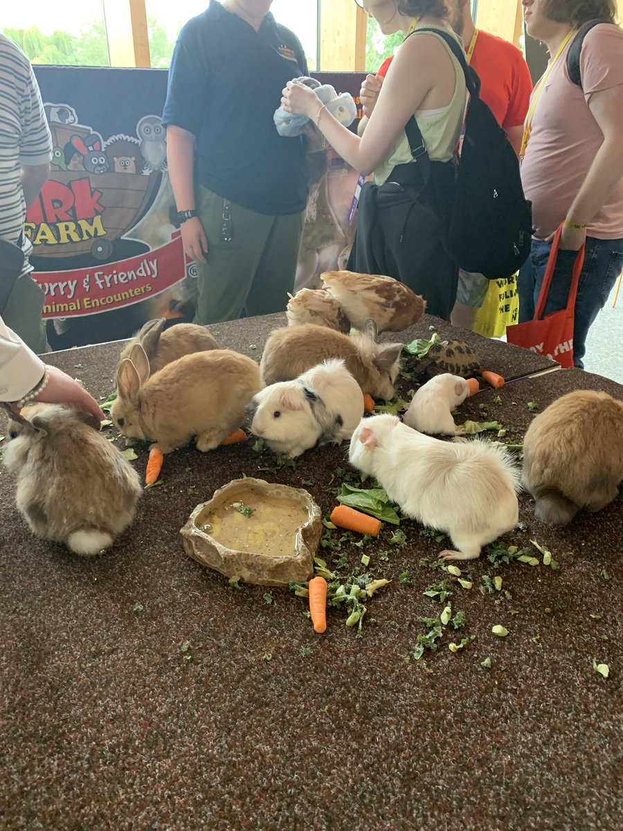 UniNorthants's tweet photo. As part of our VIP Days we’ve invited Ark Farm’s small animal experience to campus, attendees can pet and play with rabbits, chickens, tortoises and more 🐇🐇🐣🐢 #VIPDays #UON https://t.co/eDsAGONwz4