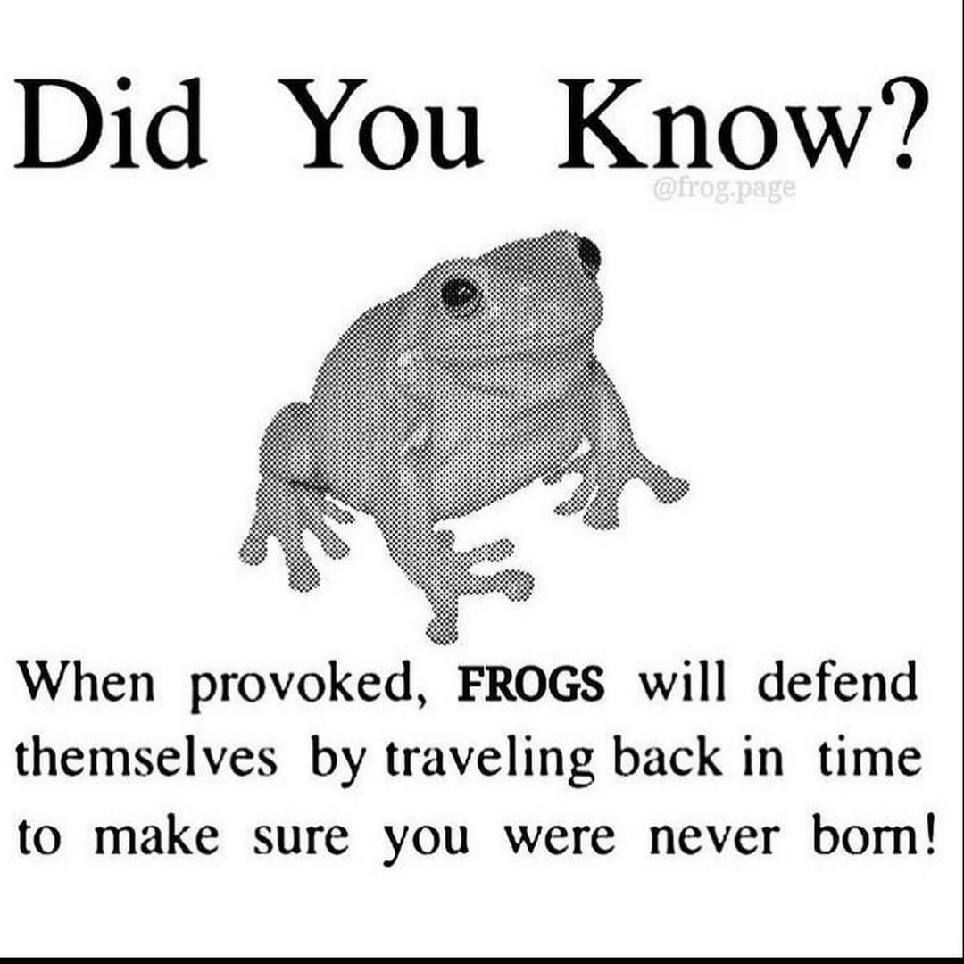 amphhibian's tweet image. fun frog fact