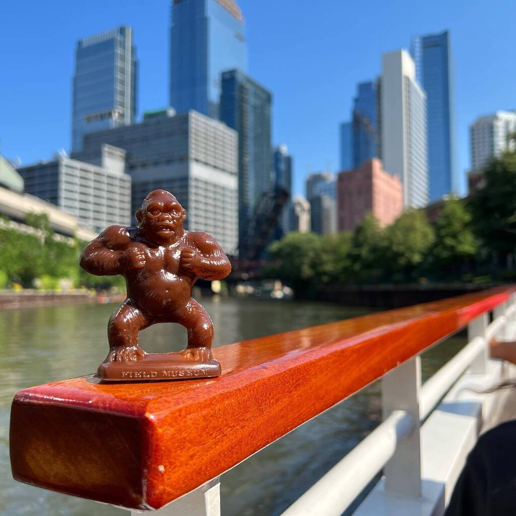 CharityJen's tweet photo. Magnificent Monte marvels at the sensational sights of Chicago
🏙
#travelingcompanion #citytours #beautifulviews #sightseeing https://t.co/w1XZzDgVJY