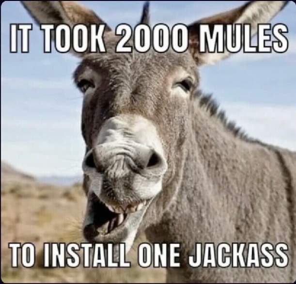 I’m seeing this all over the place now #2000Mules
