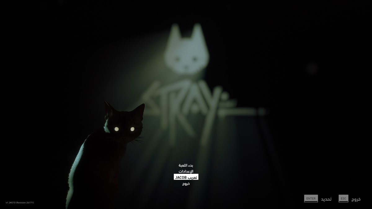 هل يوجد اهتمام بتعريب لعبة Stray؟
