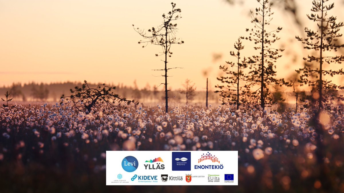 Oletko matkustanut Tunturi-Lapissa lähiaikoina? 
Vastaa lyhyeen kyselyyn ja vaikuta Tunturi-Lapin sisäisen liikenteen kehittämiseen! Voit osallistua samalla arvontaan. Kysely on auki loppuvuoden ajan.
Kyselyyn pääset vastaamaan tästä: bit.ly/kelipa2022