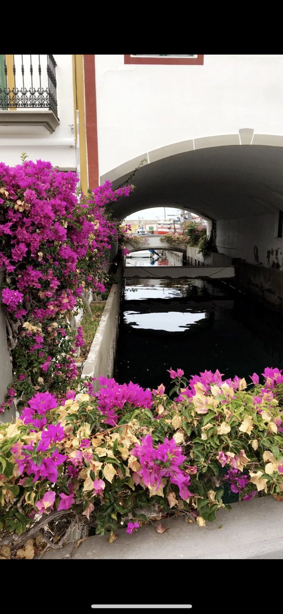 A5: Puerto de Mogán is a beautiful little village in Gran Canaria, I love the flowers everywhere 🌺 #SlowTravelSpain <a href="/TraverseEvents/">Traverse Events</a>  @Spain_inUK
