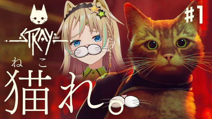 🤩配信告知🤩
⏰本日23:00から!
子供のころ、「〇〇(本名)にゃん」って呼ばれてたくらい
昔っから猫の資質ってやつ持っててさ───
つまり、「えれにゃん」爆☆誕ってコト!(・ω<)-⭐️
#えれにゃん

【STRAY】#1 あい・あむ・あ・きゃっと【えれっと】
🔻待機場所🔻
https://t.co/3mnmWN7wkH 