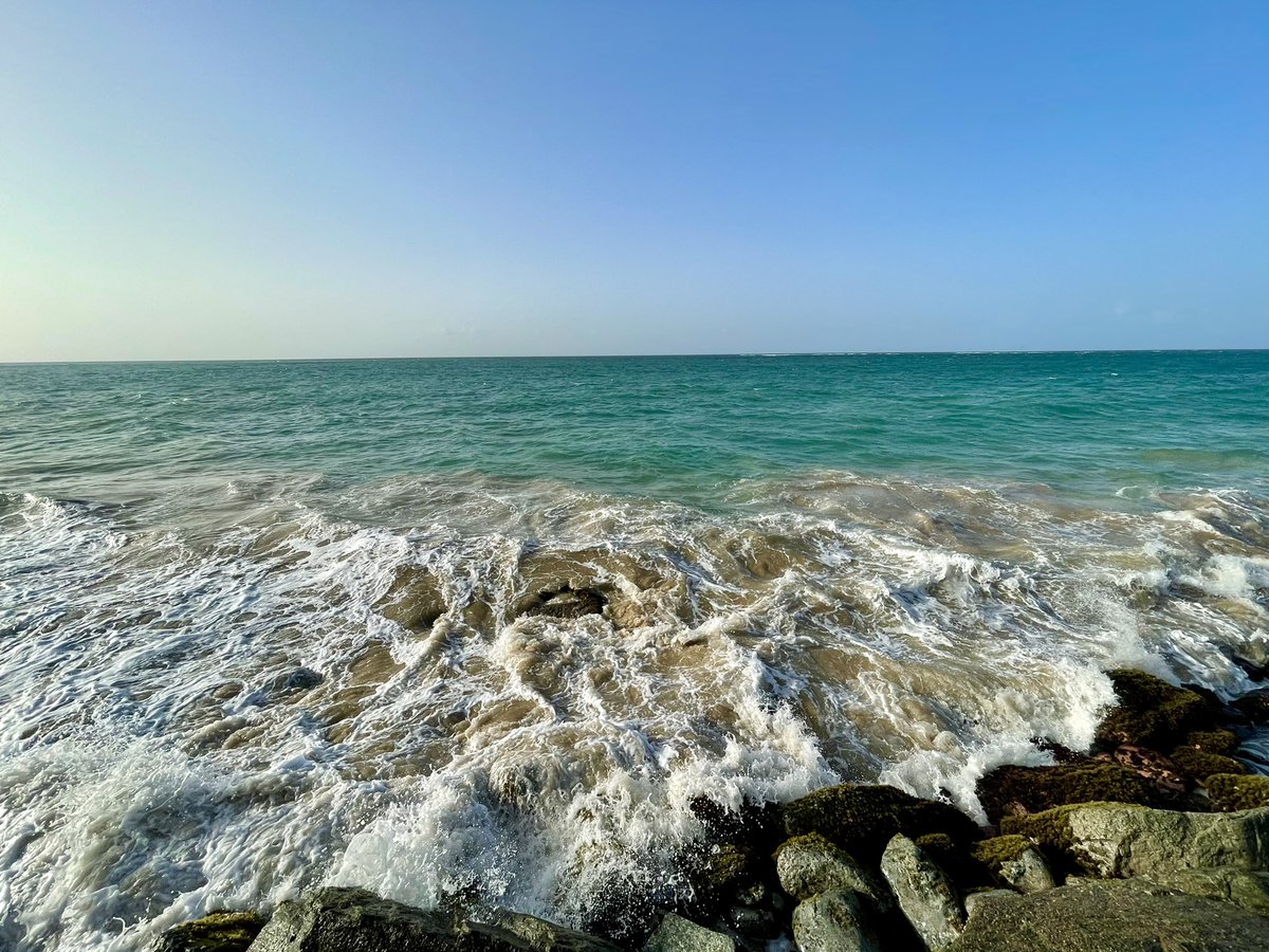 Noel Dávila tweet media