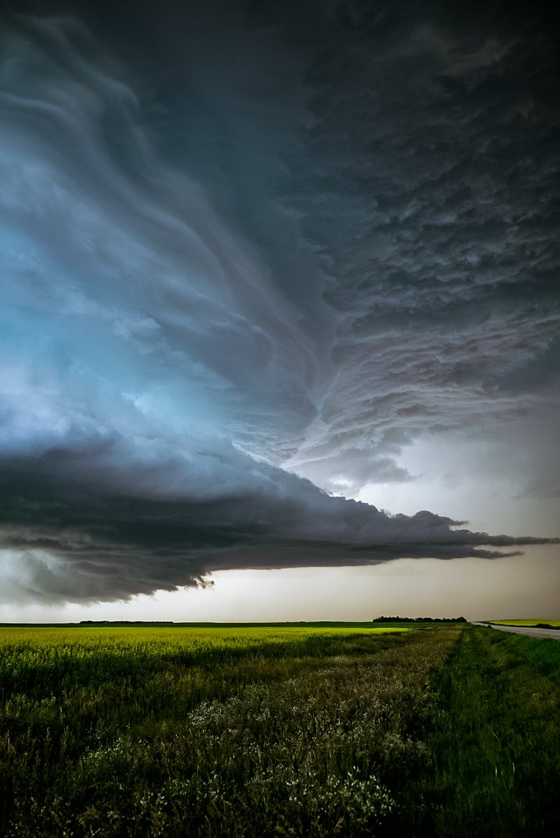 Seriously how can you not love nature?

July 17th 2022 near eyebrow Saskatchewan