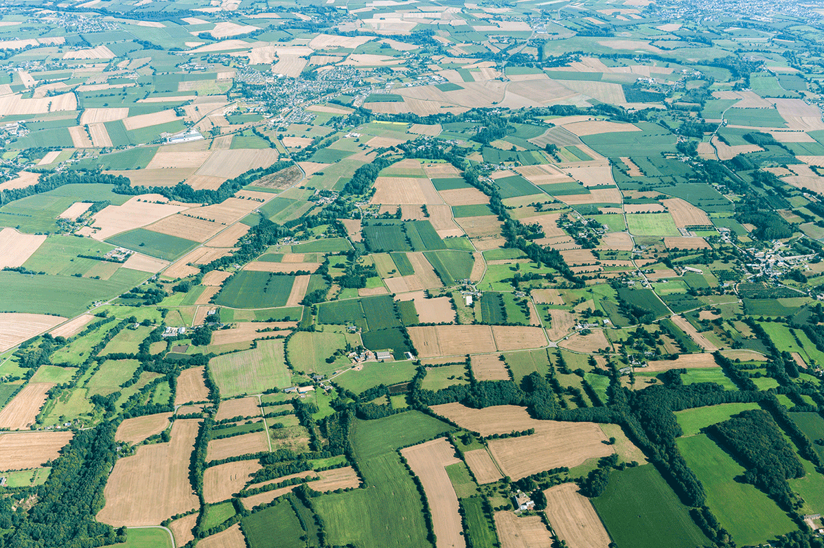 #Biodiversité et #haies: deux outils appropriables et utilisables à plusieurs échelles pour évaluer le potentiel d’accueil de la biodiversité  (#oiseaux et #carabes) du #bocage👉bit.ly/3ISwDdV via <a href="/revueSET/">Revue SET</a> 
@afacagrofo <a href="/INRAE_France/">INRAE</a> <a href="/AggloLTC/">Agglo_LannionTregor</a>