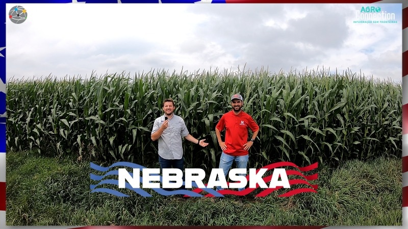 Tá no ar o primeiro Crop Tour 2022:Na estrada com Agro connection e RTC.

A parceria entre Agro Connection e RTC te leva novamente até os principais estados produtores dos EUA e mostra a situação das lavouras.
Neste vídeo viajamos pelo estado de Nebraska!
youtu.be/q_PbZ2kdITg