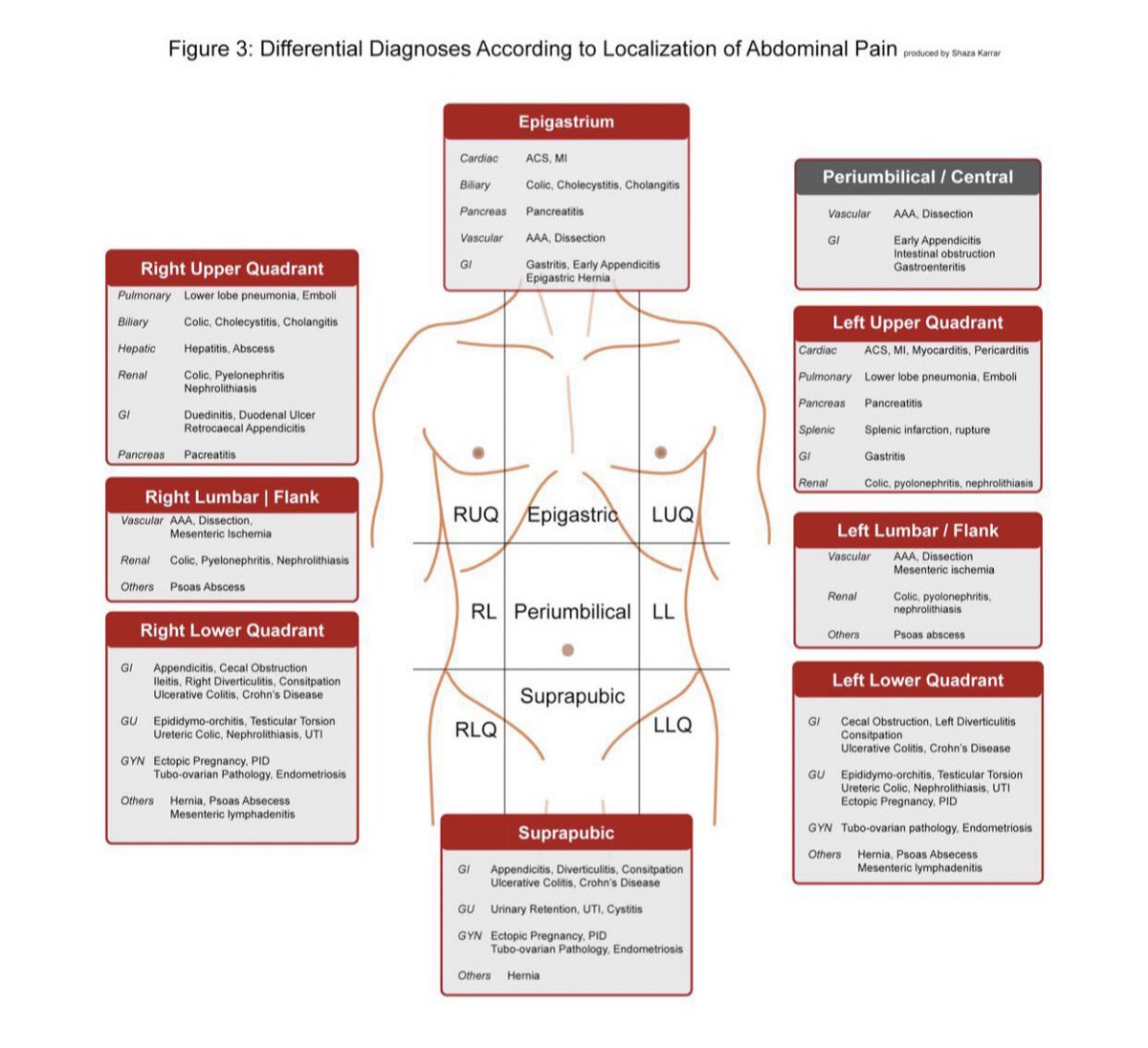 Medical_MD1's tweet photo. Quick Recap 🧐

Differential Diagnosis of Abdominal Pain✨

. https://t.co/kcjCblHkBn