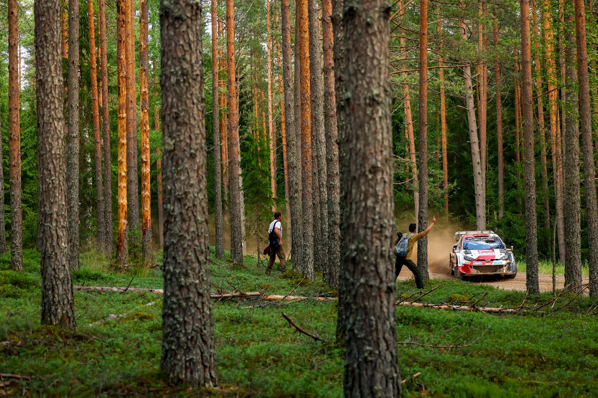 Between the trees 🌲🌲🚗🌲🌲

#ToyotaGAZOORacing #GRYaris #WRC #RallyEstonia 🇪🇪