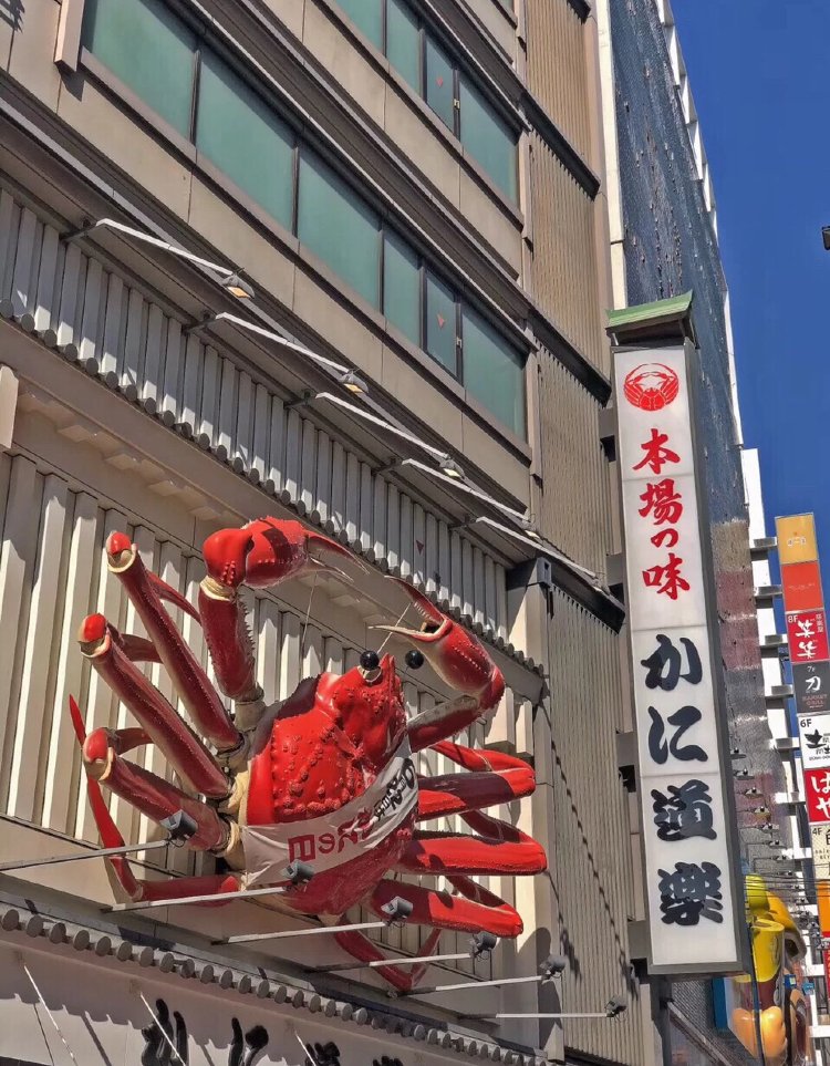 Think back to photos taken in Japan in 2018☺️