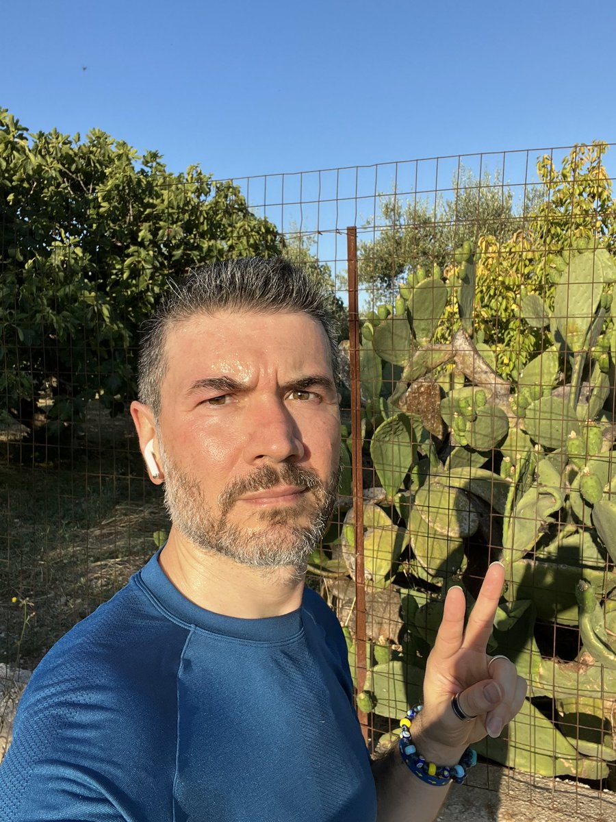 Sveglia ore 5.45, inizio corsa alle 6.15.
8km 
6’22” / km
146 bmp
168 ppm
Ricordatemelo, perché lo faccio? 🤦🏻‍♂️