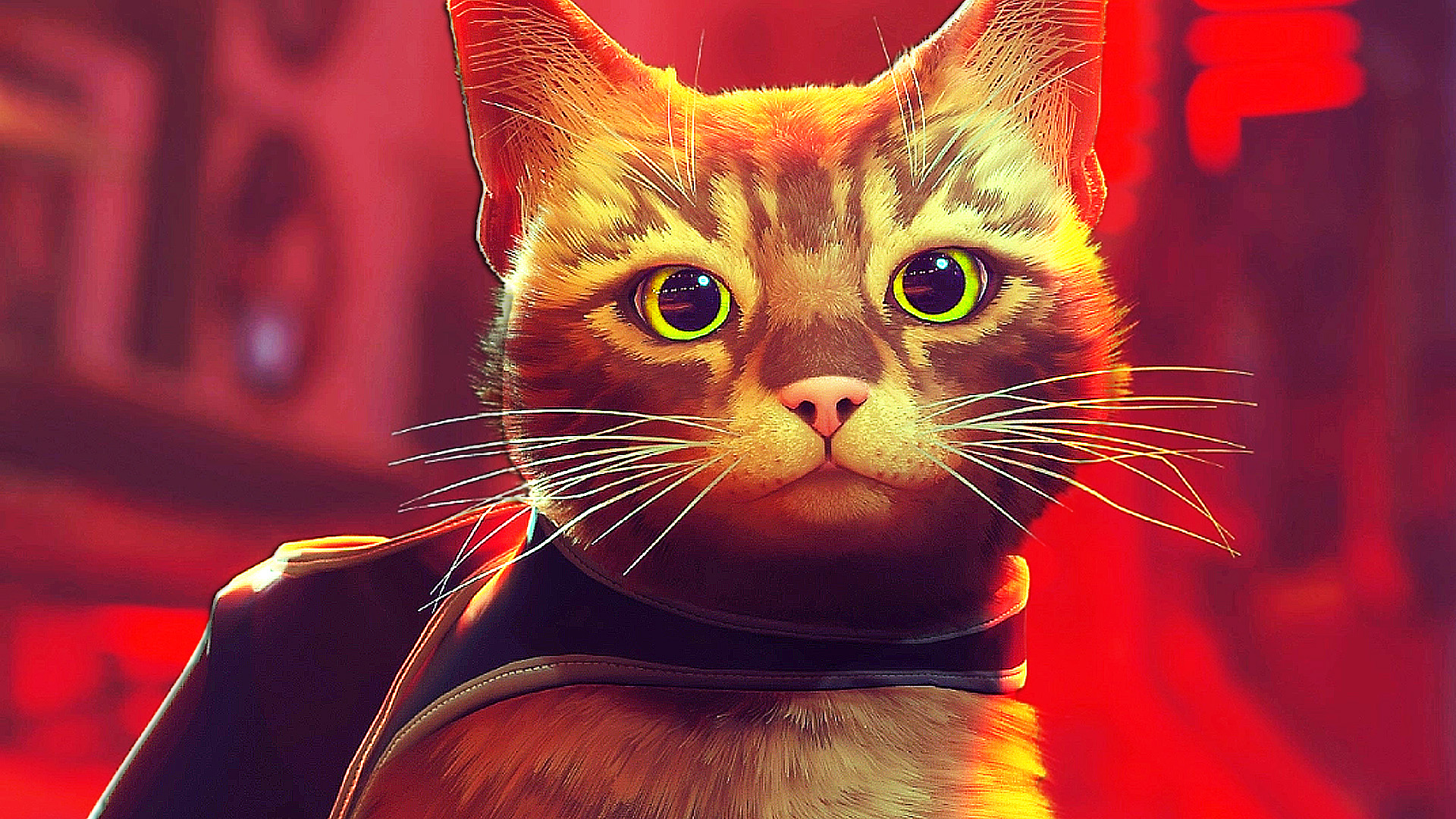 Jacksepticeye on Twitter "CAT GAME 🐈 https//t.co/w787DDCkOH https//t