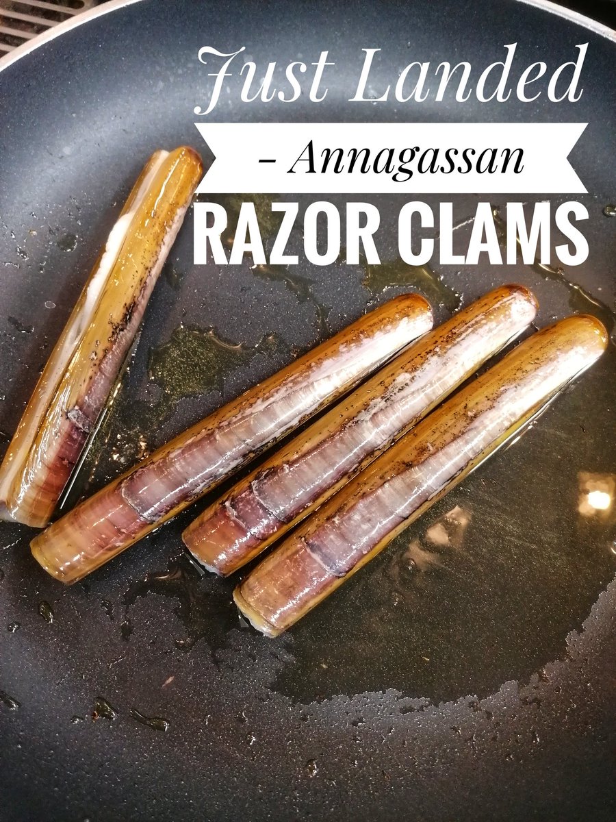 Just landed.... 👌👌

#annagassan #razorclams
#louthchat