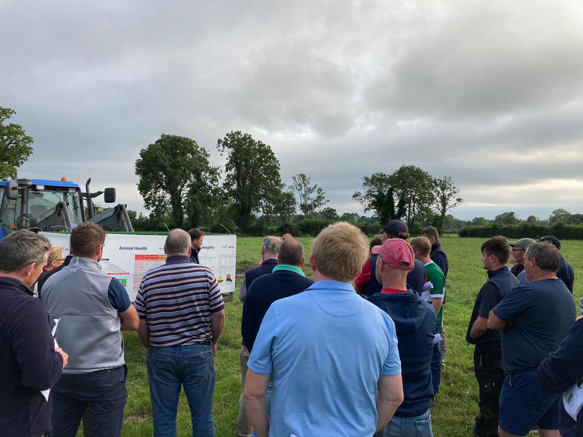 A great crowd turned up for our third Twenty20 Beef Club🐄 farm walk on Dara Walton’s farm in Co.Kilkenny. Representatives from Glanbia Ireland &amp; <a href="/KepakGroup/">Kepak</a> provided knowledge on Animal Health, Grassland Management &amp; much more! Guests enjoyed a BBQ after! #Twenty20BeefClub