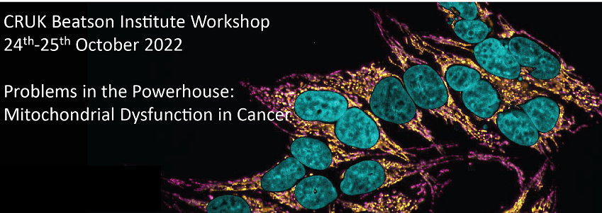 mito_oncogene's tweet photo. 1/2 Calling all #mito #cancer people - please RT - really excited to announce our CRUK Beatson Institute Workshop - Problems in the Powerhouse: Mitochondrial Dysfunction in Cancer, October 24th/25th 2022
https://t.co/rLaxjsufbG https://t.co/KfwG5An7u1