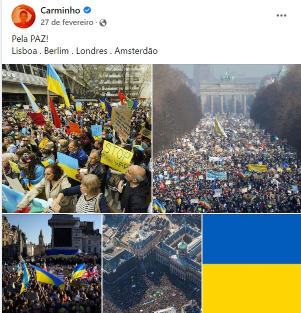 Bruno M. Vasconcelos tweet media