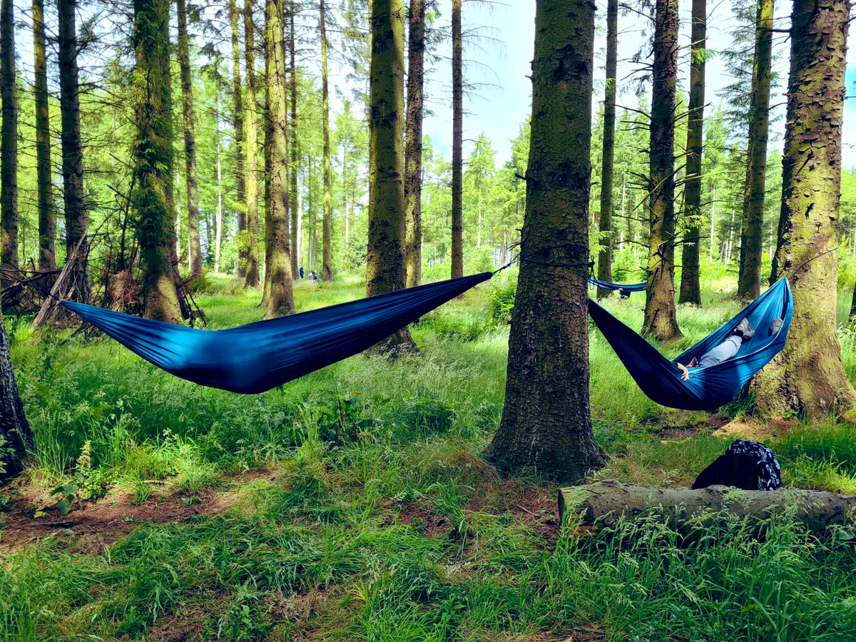ArmadaleOL's tweet photo. Outdoor Learning adventures as part of the summer school programme. Last week we explored Beecraigs and on Monday we spent the day at the Aberdour beach in the glorious sunshine 🌞🏊 #OutdoorLearning #BounceBack @ArmadaleAcademy @lyndaf1 https://t.co/SfPUzS4N35